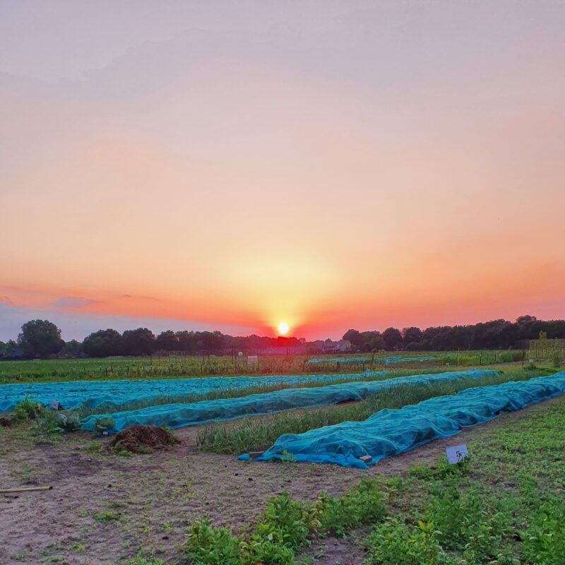zonsondergang